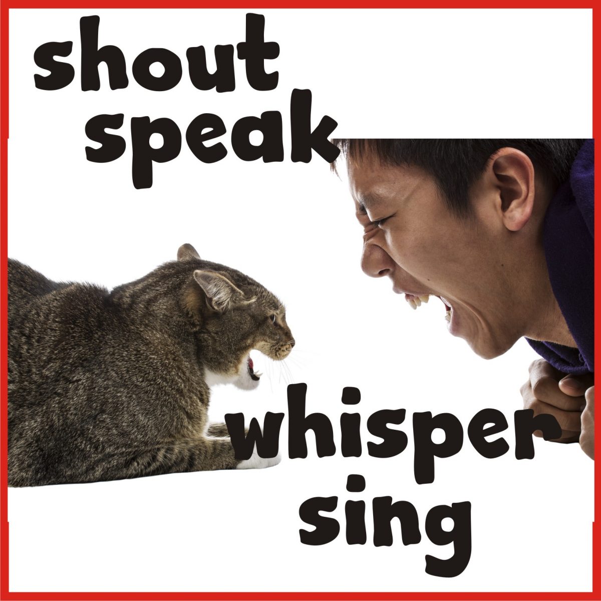 When Cats Shout
